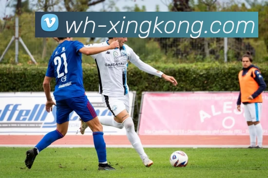 星空官网平台生态图